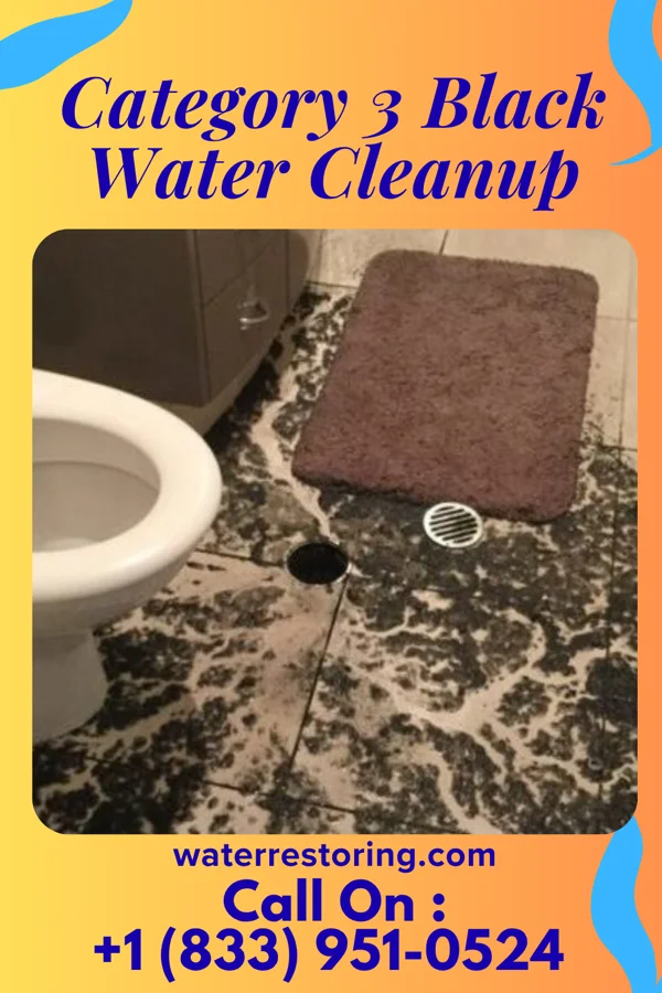 Category 3 Black Water Cleanup in Tonawanda, NY