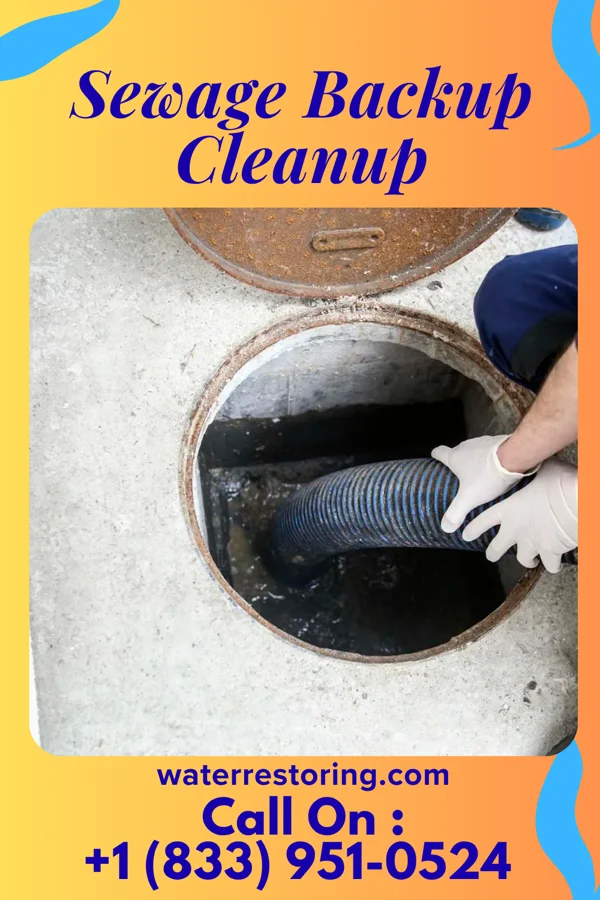 Sewage Backup Cleanup in Tonawanda, NY