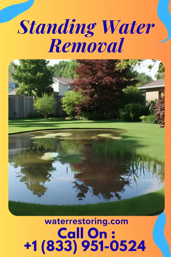 Standing Water Removal in Tonawanda, NY